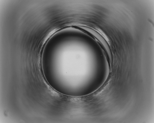 X0000091190909200708161548
