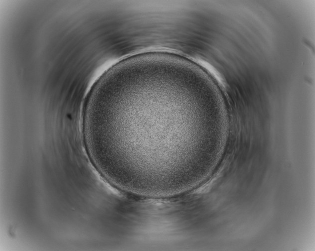 X0000091190910200708161548
