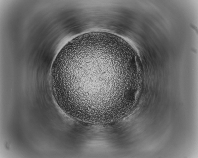 X0000091190911200708161548