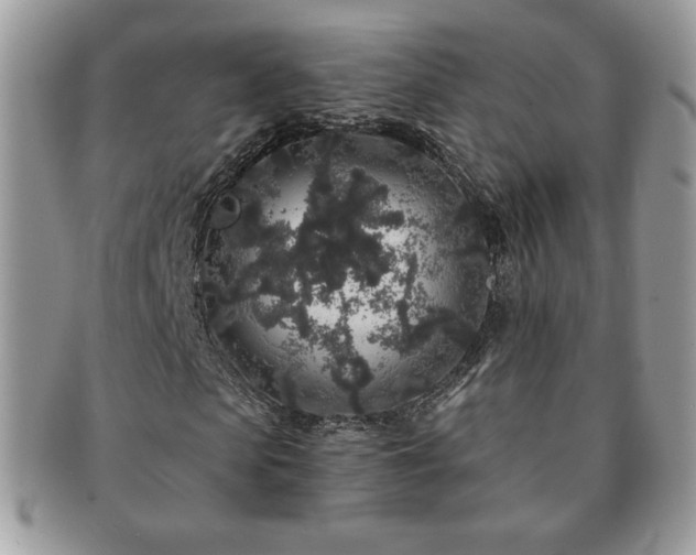 X0000091190913200708161547