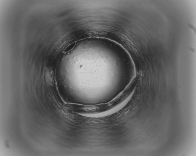 X0000091190915200708161547