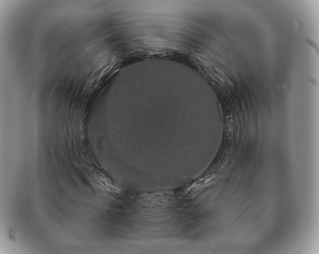 X0000091190916200708161547