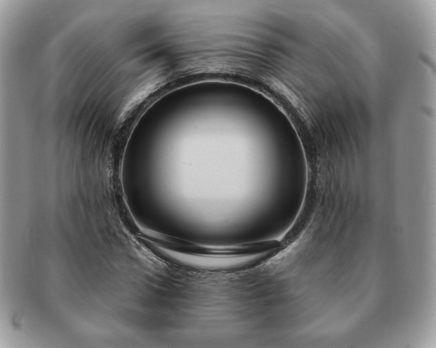 X0000091190922200708161547