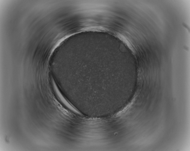 X0000091190923200708161547