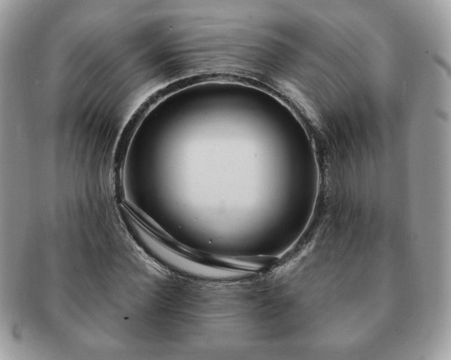 X0000091190924200708161547