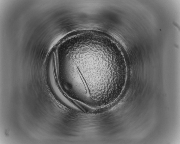 X0000091190925200708161547