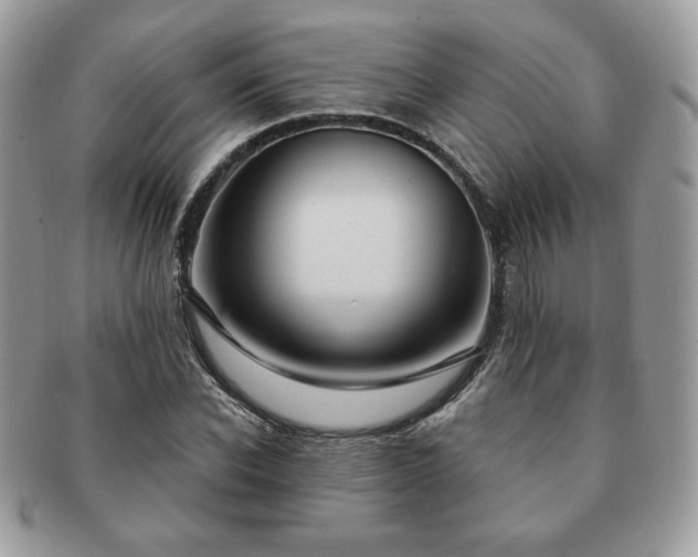 X0000091190926200708161547
