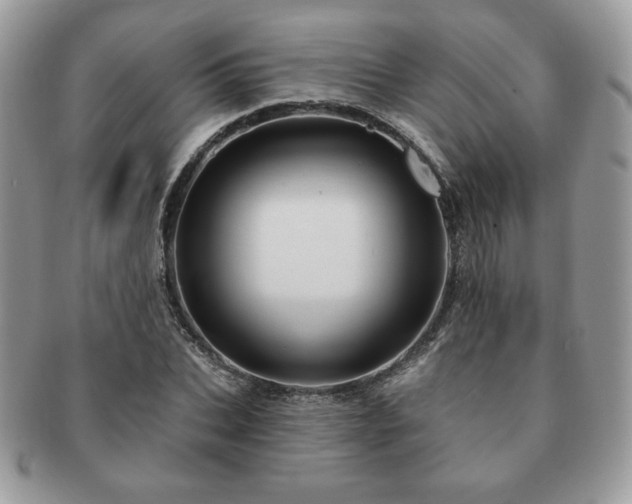 X0000091190927200708161547