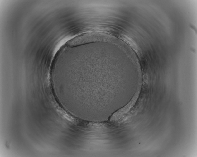 X0000091190928200708161547