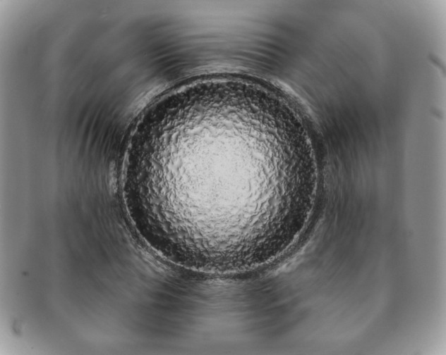 X0000091190929200708161547