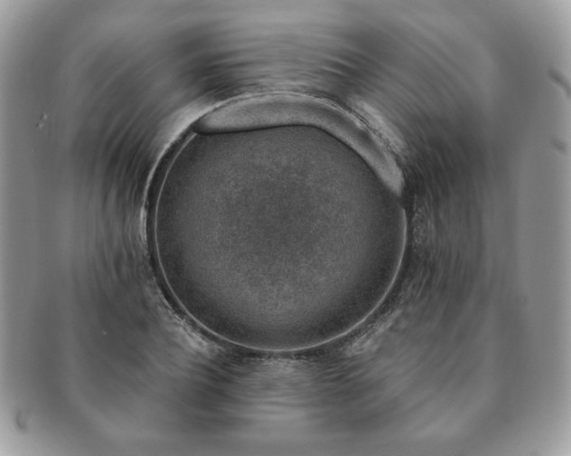 X0000091190932200708161547