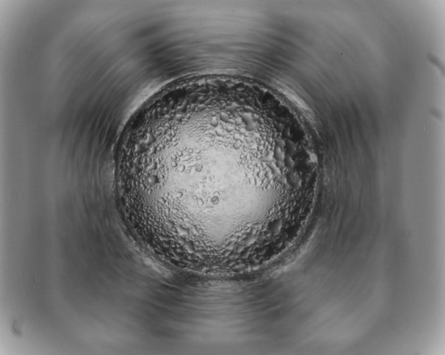 X0000091190933200708161547