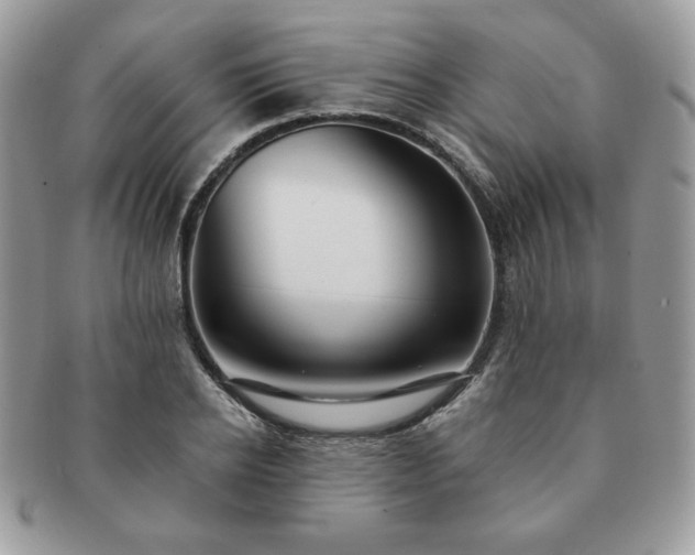 X0000091190934200708161547