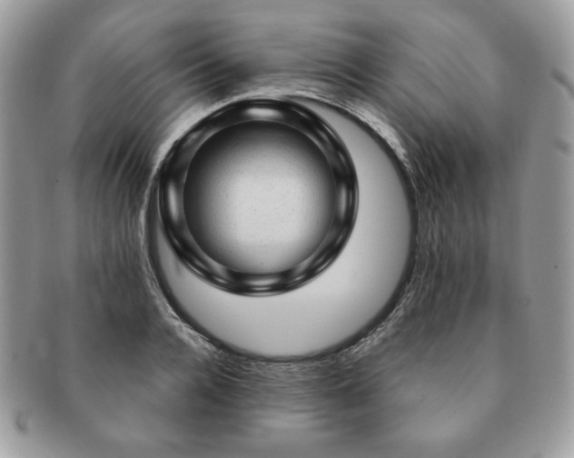 X0000091190936200708161547