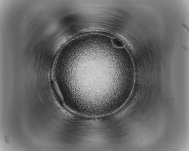 X0000091190937200708161547