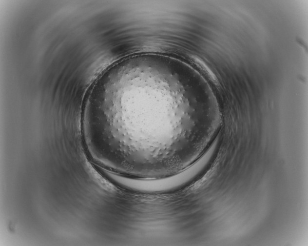 X0000091190938200708161547
