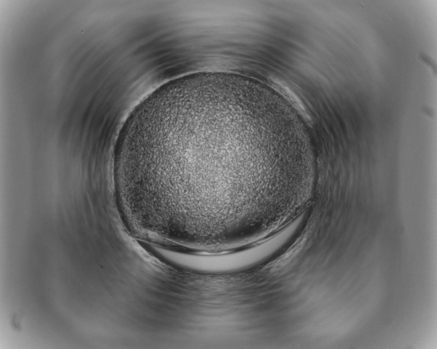 X0000091190939200708161547