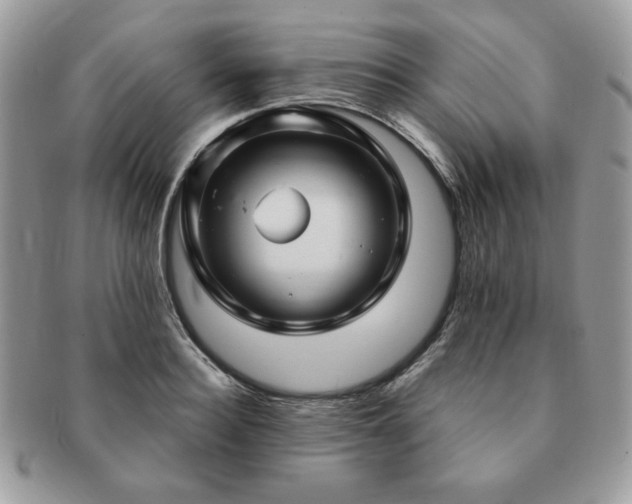 X0000091190940200708161547