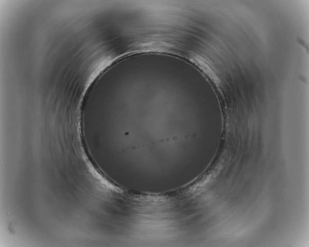 X0000091190941200708161547