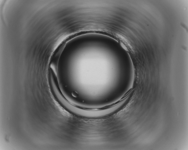 X0000091190942200708161547