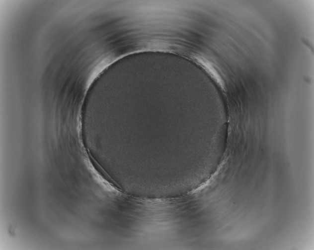 X0000091190944200708161547
