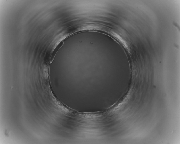 X0000091190945200708161547