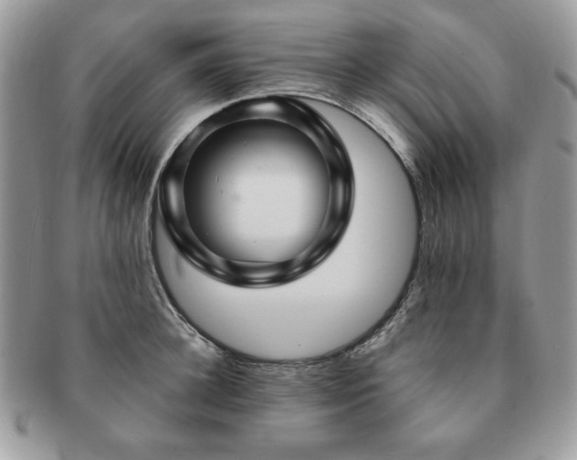 X0000091190948200708161547