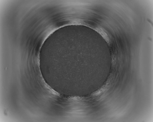 X0000091190950200708161547