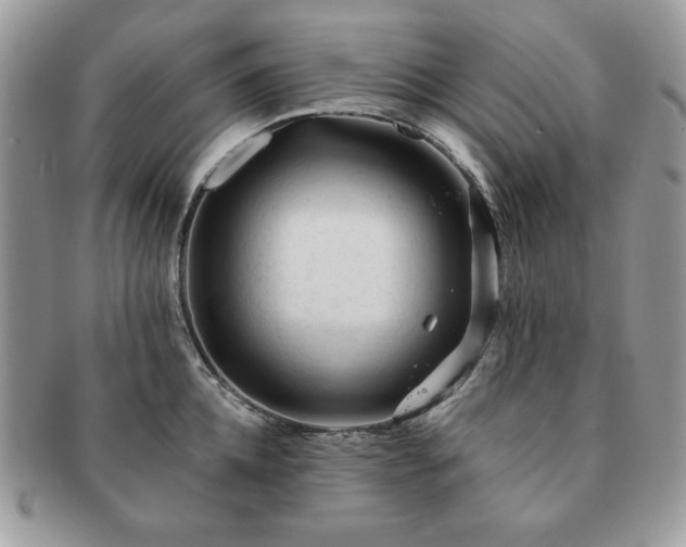 X0000091190952200708161547