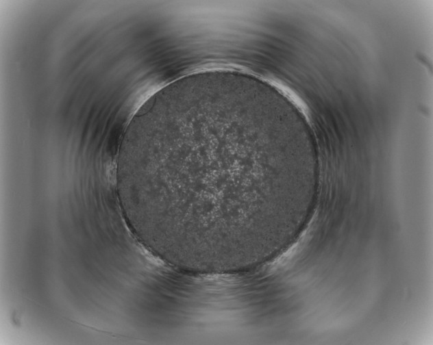 X0000091190953200708161547