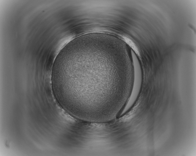 X0000091190954200708161547