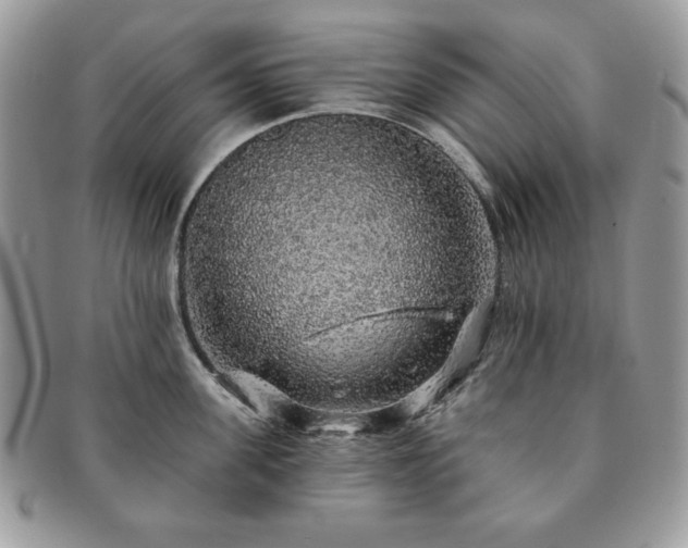 X0000091190955200708161547