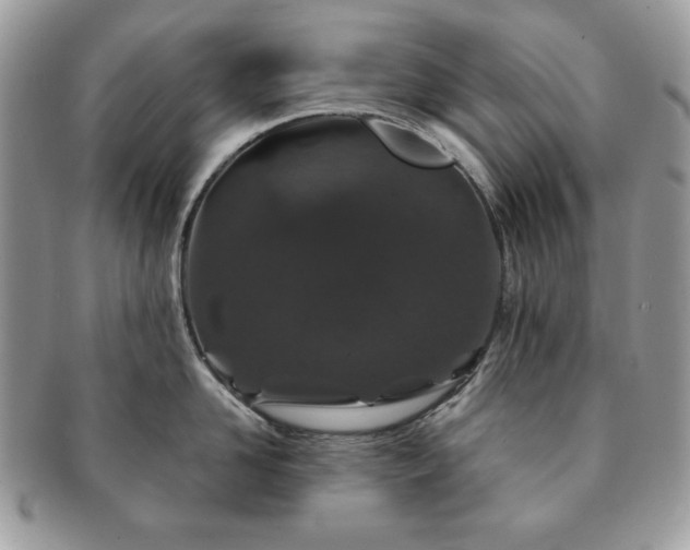 X0000091190958200708161547