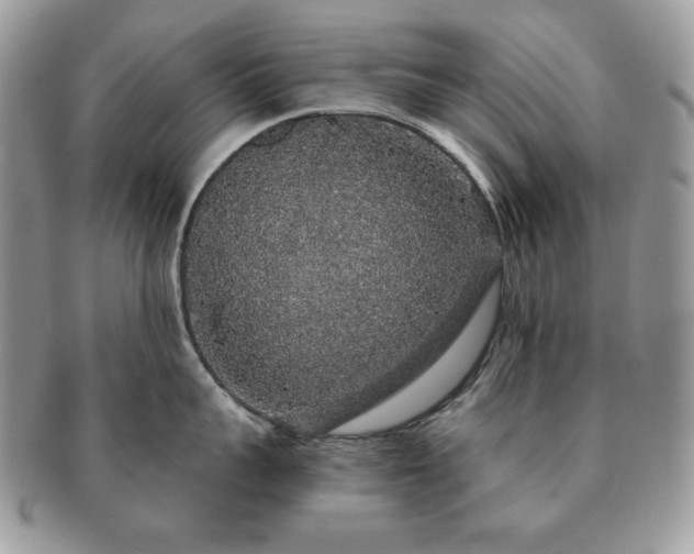 X0000091190959200708161548