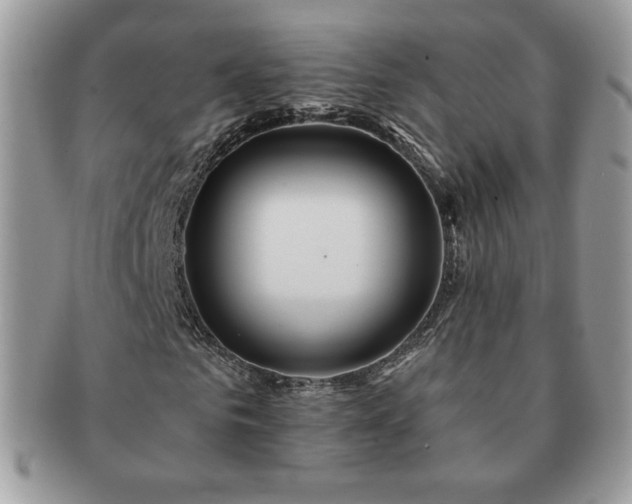 X0000091190961200708161547