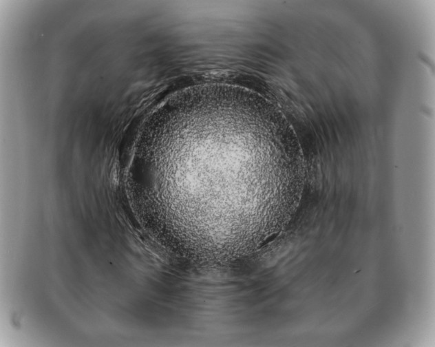 X0000091190962200708161547