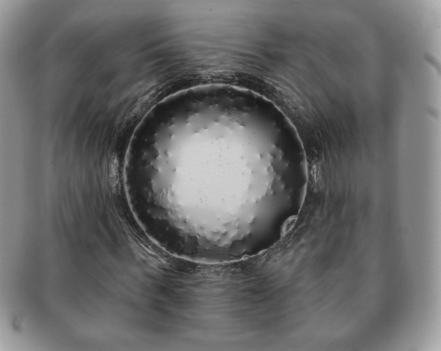 X0000091190963200708161547