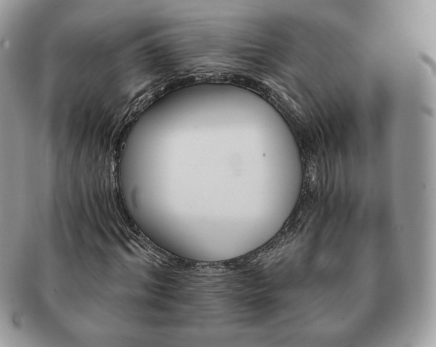 X0000091190964200708161547