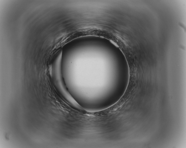 X0000091190965200708161547