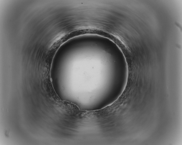 X0000091190967200708161547