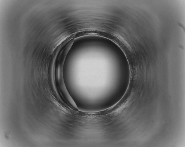 X0000091190969200708161547