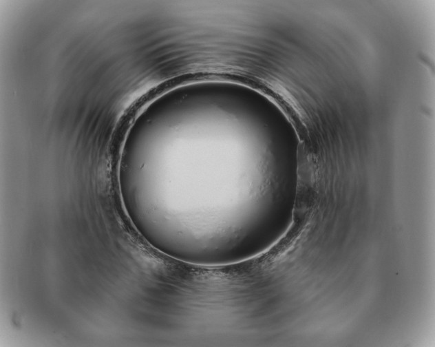 X0000091190971200708161547