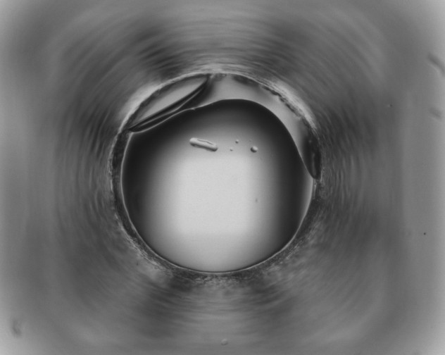 X0000091190972200708161547