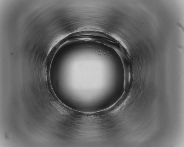 X0000091190973200708161547