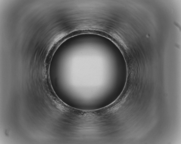 X0000091190974200708161547
