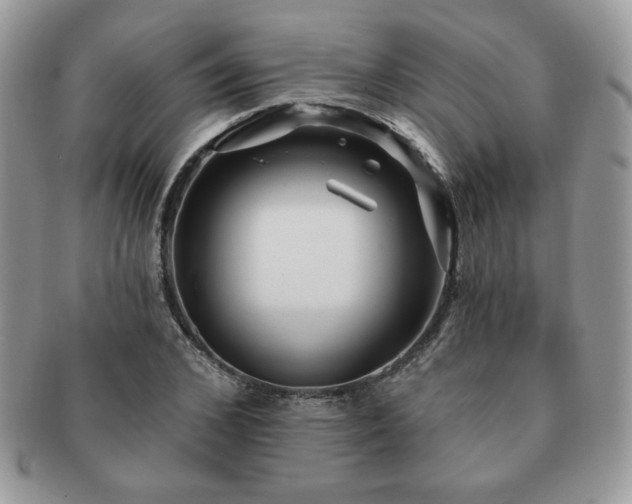 X0000091190976200708161547