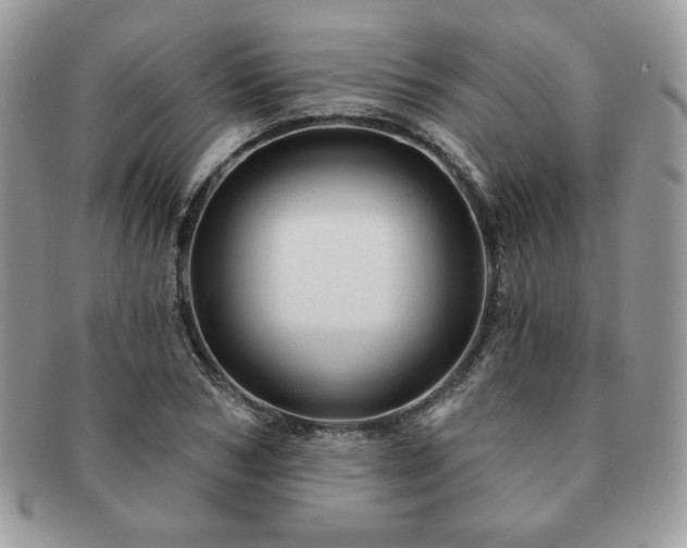 X0000091190978200708161546