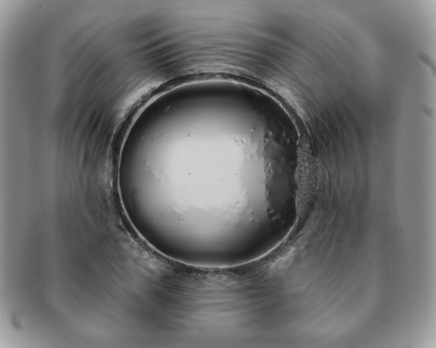 X0000091190979200708161546