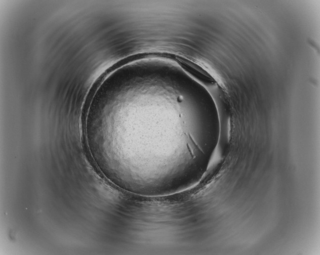 X0000091190980200708161546
