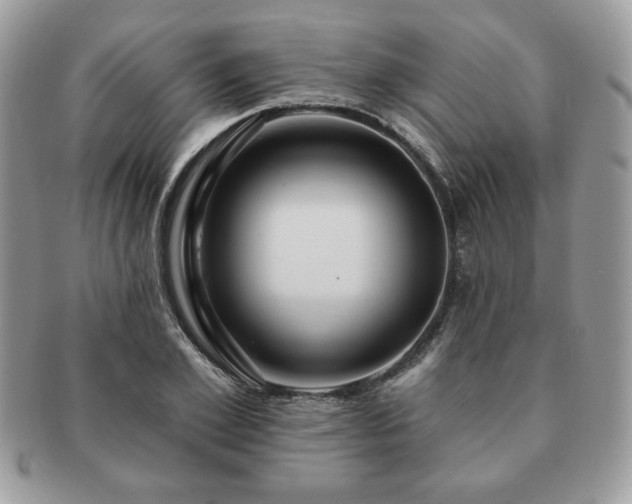 X0000091190981200708161546